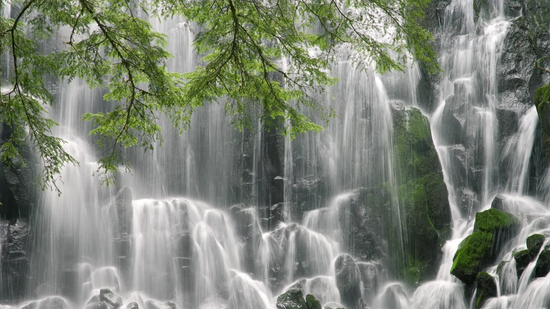 世界橄榄球联赛季中总结:强队表现稳定,世界橄榄球最强的队伍